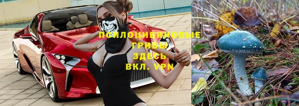 скорость Горнозаводск